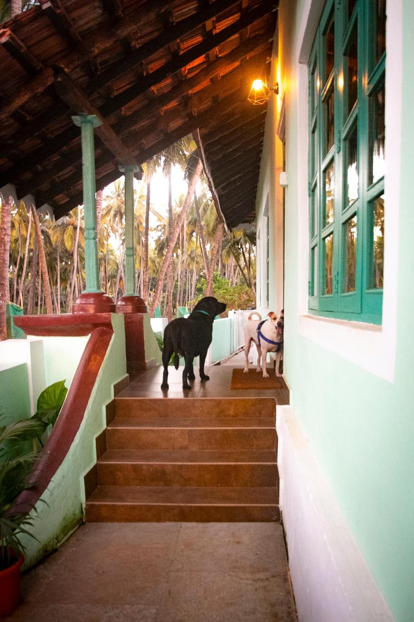 The Bungalow Bogmalo An 1880 Indo Portuguese Heritage Beach Villa South Goa Esterno foto